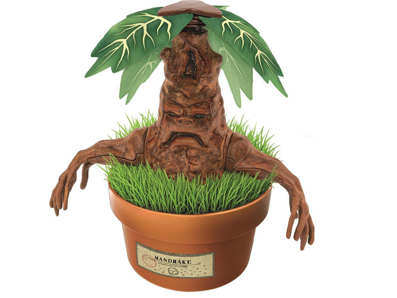 Clementoni Harry Potter - Mandragola - Terrarium Kit