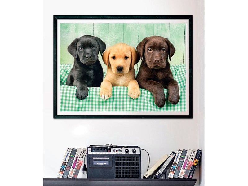 Clementoni Three Labradors (1000)