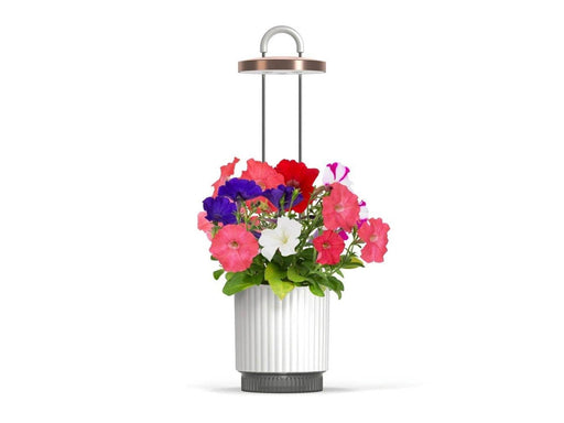 Click & Grow HydroVase Grow Fresh Plants Indoors All Year Round with LED Lighting and Self-Watering System - White