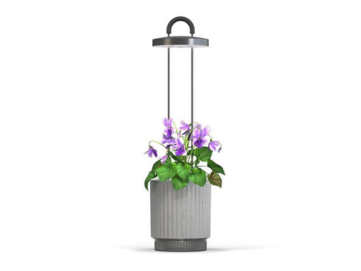 Click & Grow HydroVase Indoor Plant Care Kit with LED Light Self-Watering and Automatic Timer - Gray