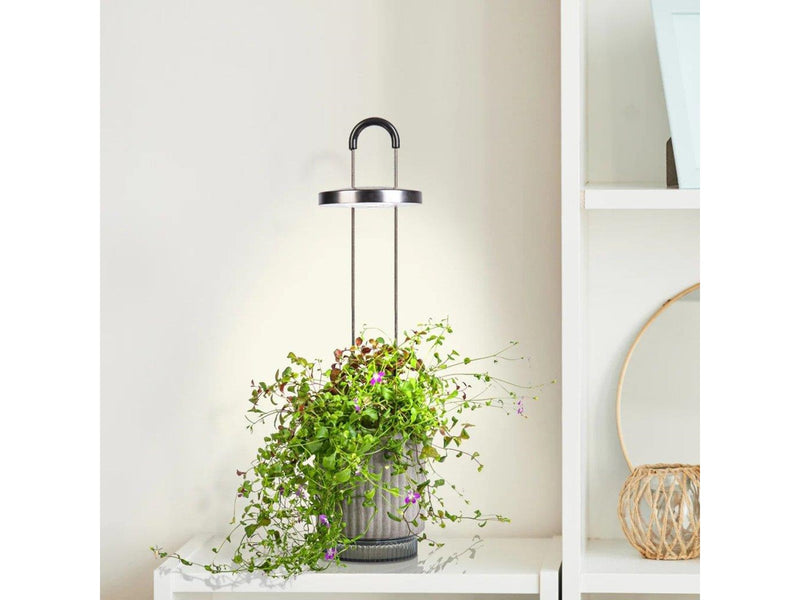 Click & Grow HydroVase Indoor Plant Care Kit with LED Light Self-Watering and Automatic Timer - Gray