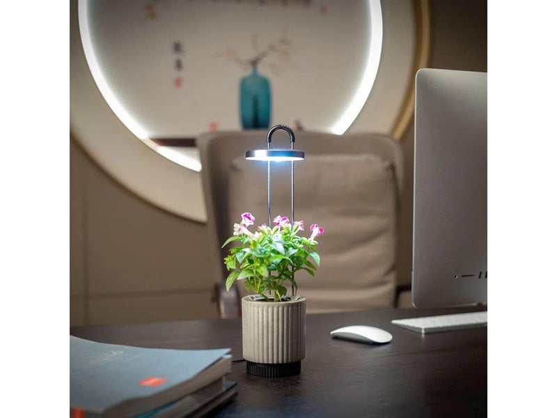 Click & Grow HydroVase Indoor Plant Care Kit with LED Light Self-Watering and Automatic Timer - Gray