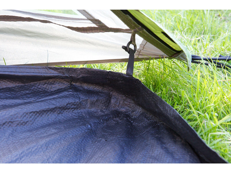 Coleman Darwin 4 Plus