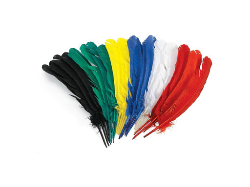 Colorations - Feathers 30cm Set of 24
