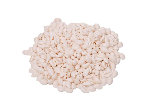Colorations - Seashells Kauri 300g