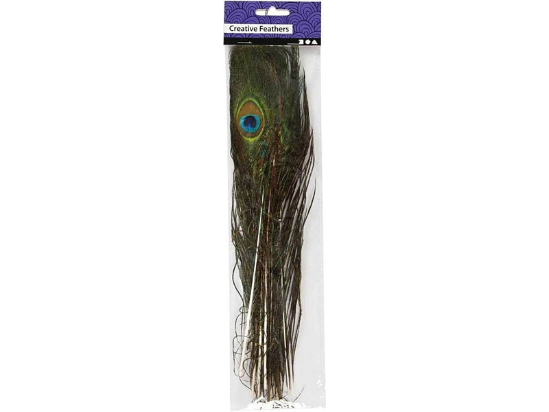 Creativ Company - Peacock feathers 10 pcs.