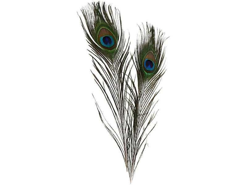 Creativ Company - Peacock feathers 10 pcs.