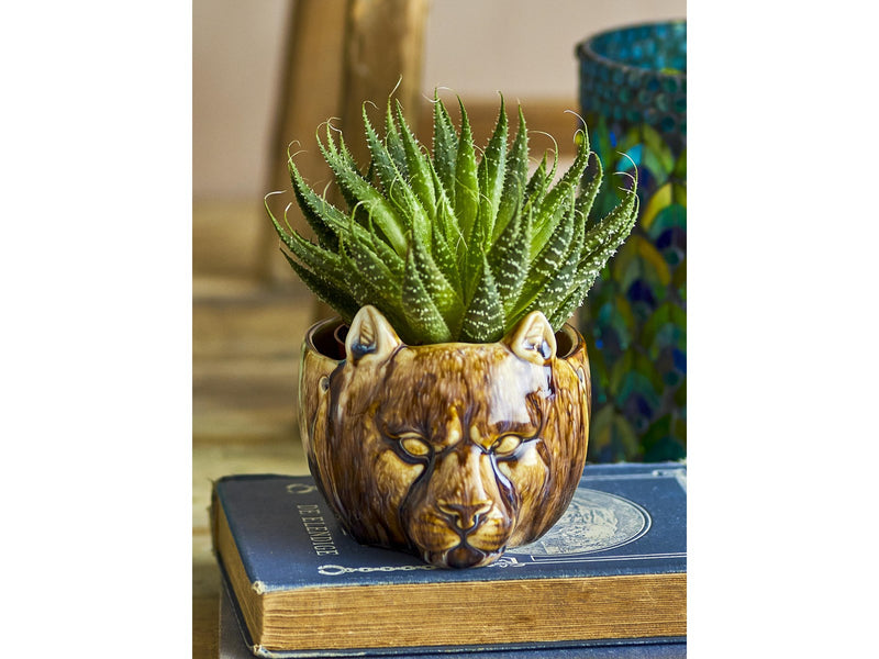 Creative Collection Abner
