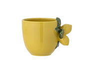 Creative Collection Limone