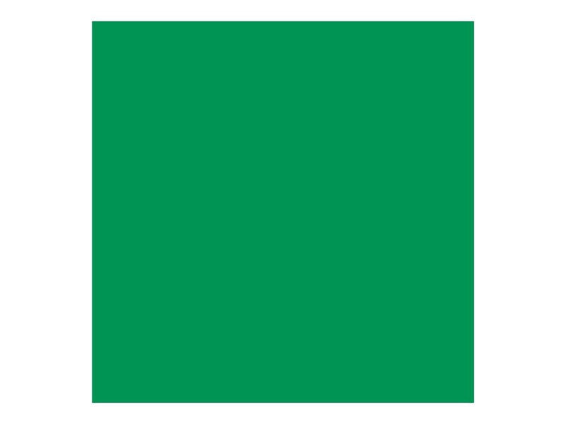 Cricut Smart Vinyl - craft material - 33 cm x 3.6 m - grass - vinyl