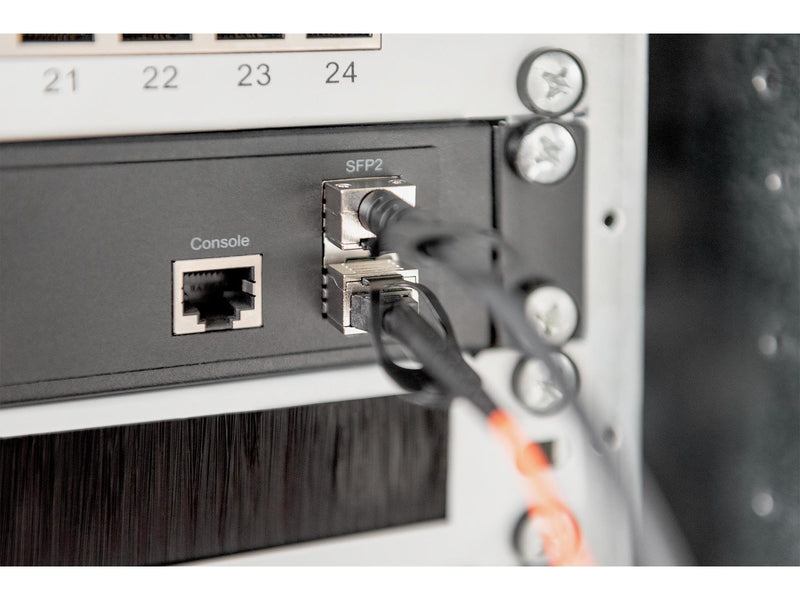 DIGITUS 10G SFP+ DAC Cable - 1m - Schwarz - 1m