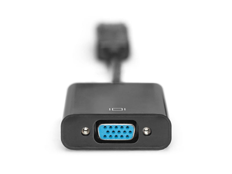 DIGITUS DisplayPort til D-Sub Adapter - 0.15cm