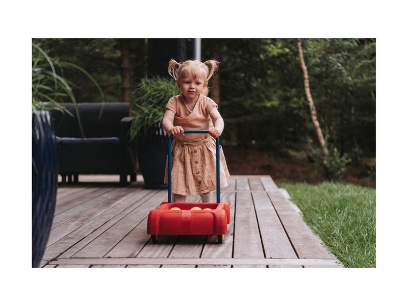 Dantoy Baby walker