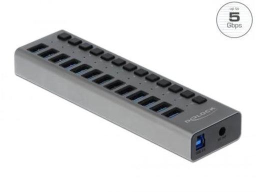 DeLOCK - hub - 13 ports USB-Hubs - USB 3.0 - 13 - Grau