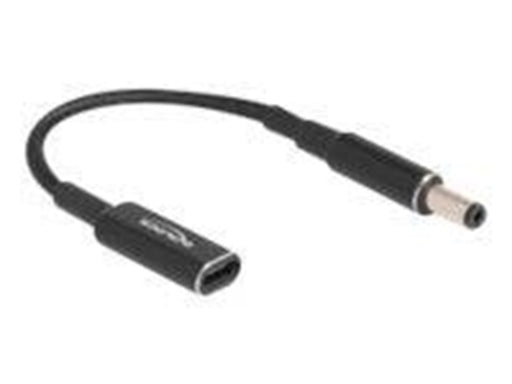 DeLOCK - power adapter - 24 pin USB-C to DC jack 5.5 x 2.1 mm - 15 cm