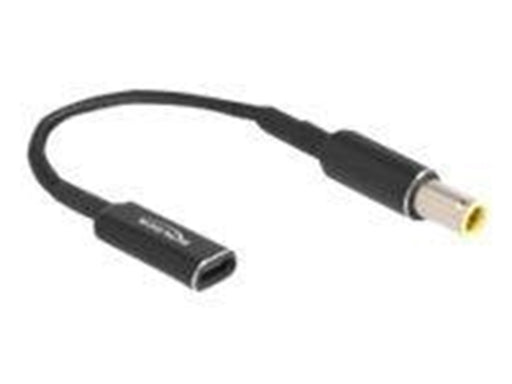 DeLOCK - power adapter - 24 pin USB-C to DC jack 7.9 x 5.5 mm - 15 cm