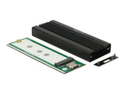 DeLOCK - storage enclosure - M.2 Card - USB 3.1 (Gen 2)