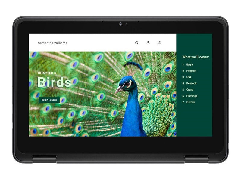 Dell Chromebook 3120 2in1 (2024)
