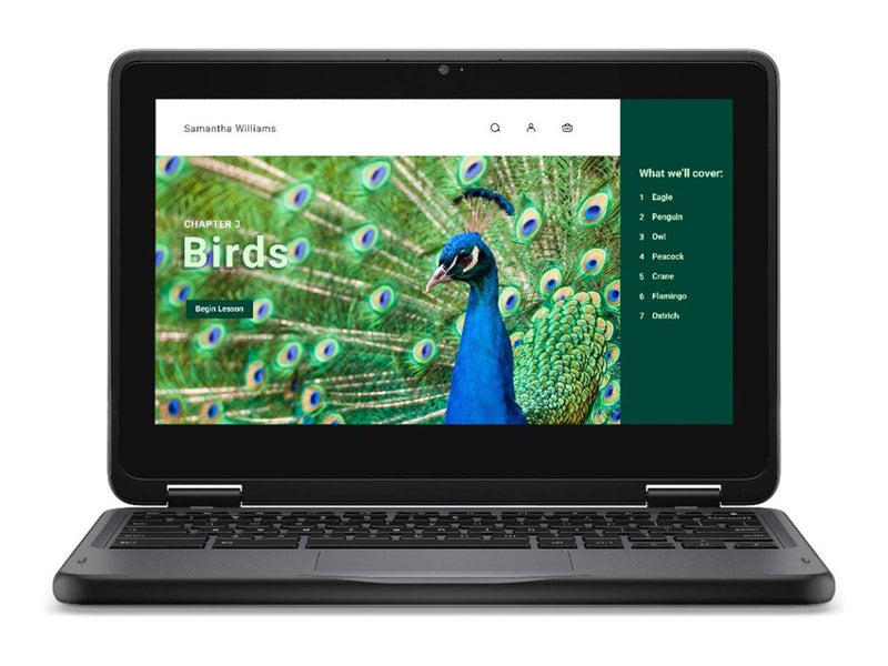 Dell Chromebook 3120 2in1 (2024)