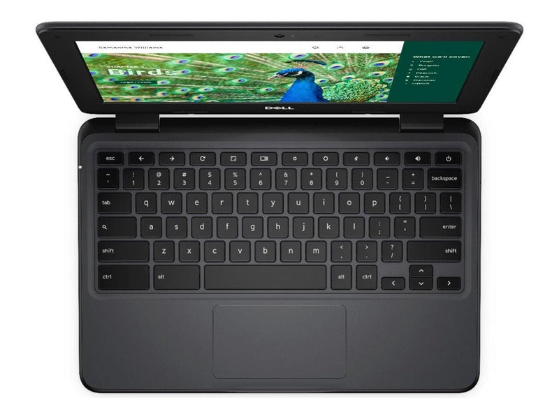 Dell Chromebook 3120 2in1 (2024)