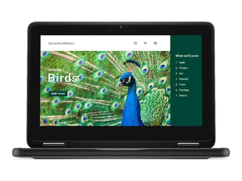 Dell Chromebook 3120 2in1 (2024)