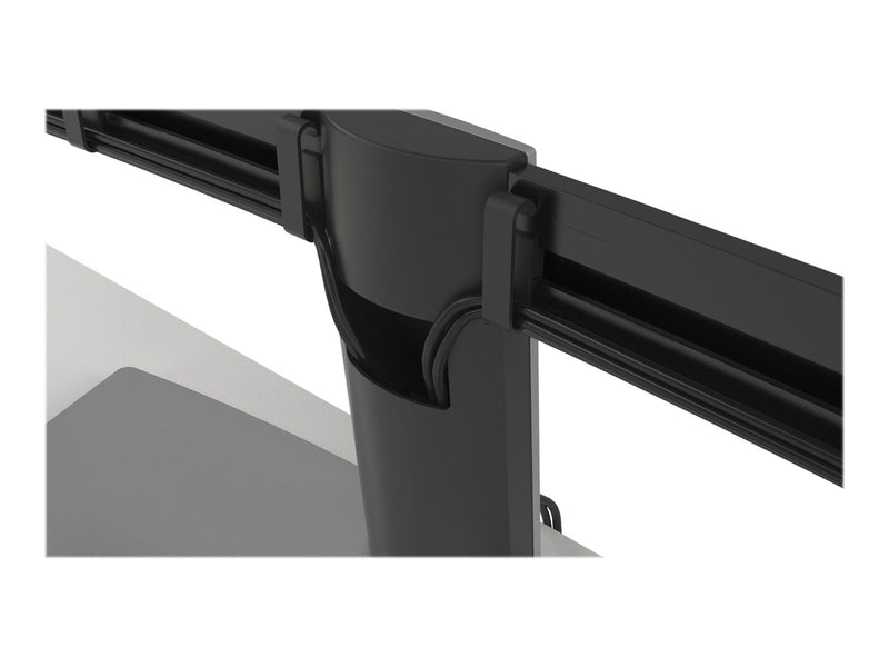 Dell MDS19 Dual Monitor Stand - stand