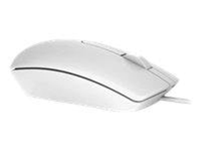 Dell MS116 - Maus (Weiß)