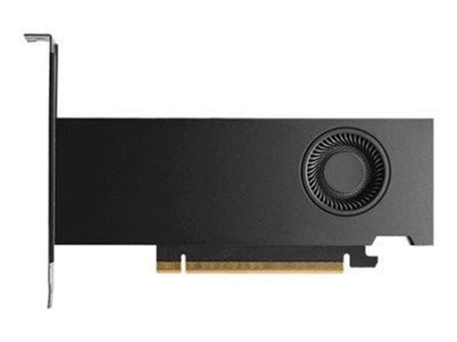Dell RTX PRO 2000 Blackwell Workstation Edition - 16GB GDDR7 RAM - Grafikkarte