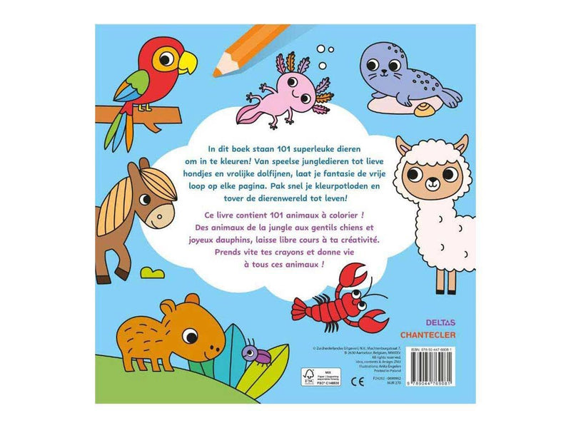 Deltas - Maxi Color Fun 101 Animals