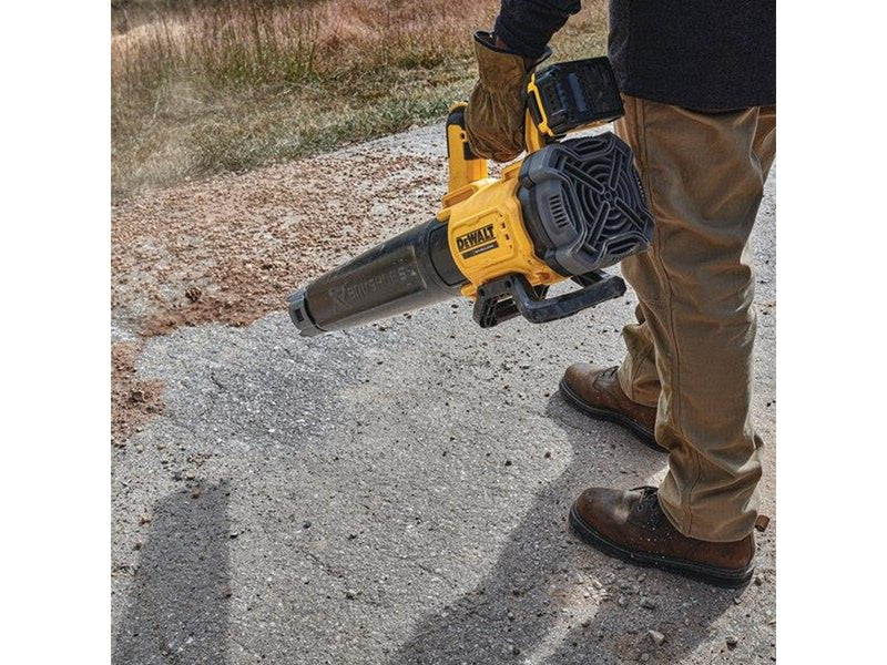 Dewalt DCMBL562P1-QW