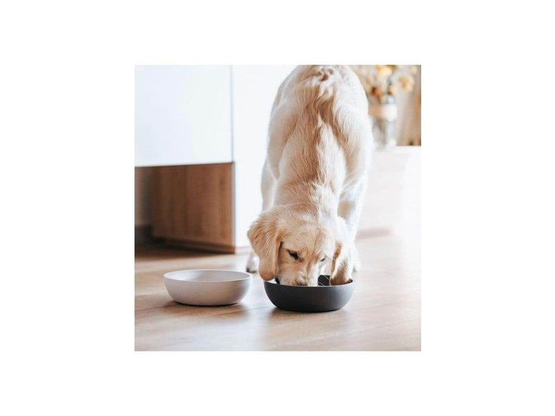 District 70 District70 - BAMBOO Dog Bowl Large Dark Grey - (871720261397)
