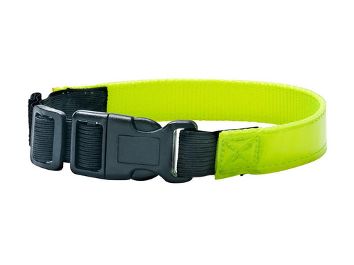 Dogman 260700 dog/cat collar