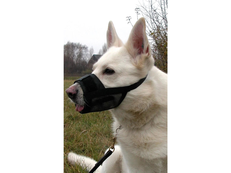 Dogman Dog Muzzle Black Nylon M Snout Size 22-27cm