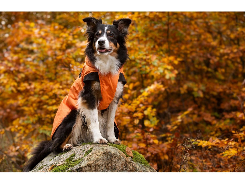 Dogman Dog Winter Coat Orange 55cm