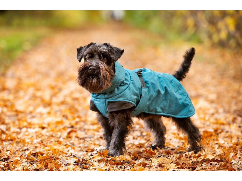 Dogman Dog Winter Coat Turquoise 35cm