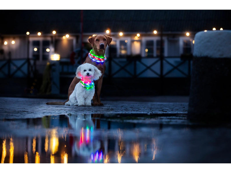 Dogman Flashing LED Collar Green