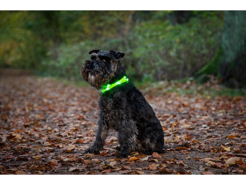 Dogman Flashing LED Collar Grey