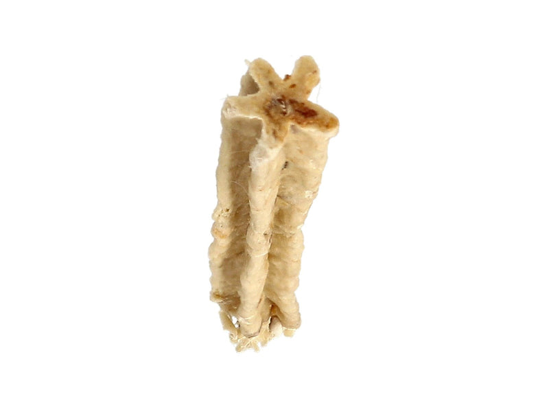 Dogman Kau-Dental-Hühnchen-Sticks (7er-Pack, insgesamt 70g)