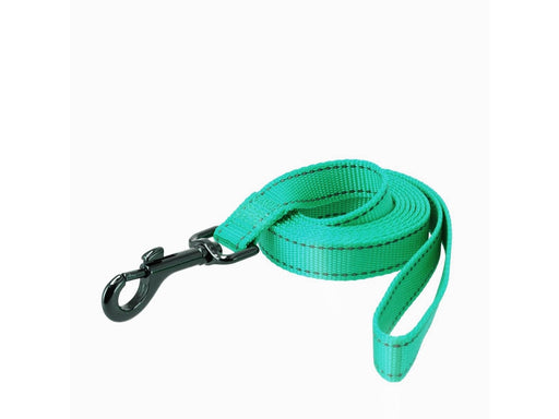 Dogman Reflective Nylon Dog Leash Iris Turquoise XS 10mm 180cm