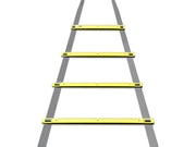 Dunlop - Coordination ladder