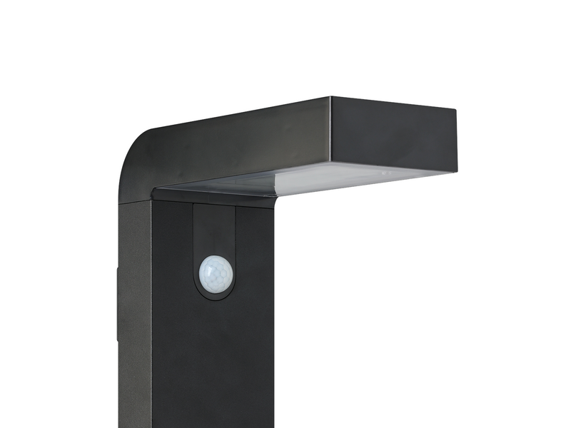 EGLO Baracconi schwarz