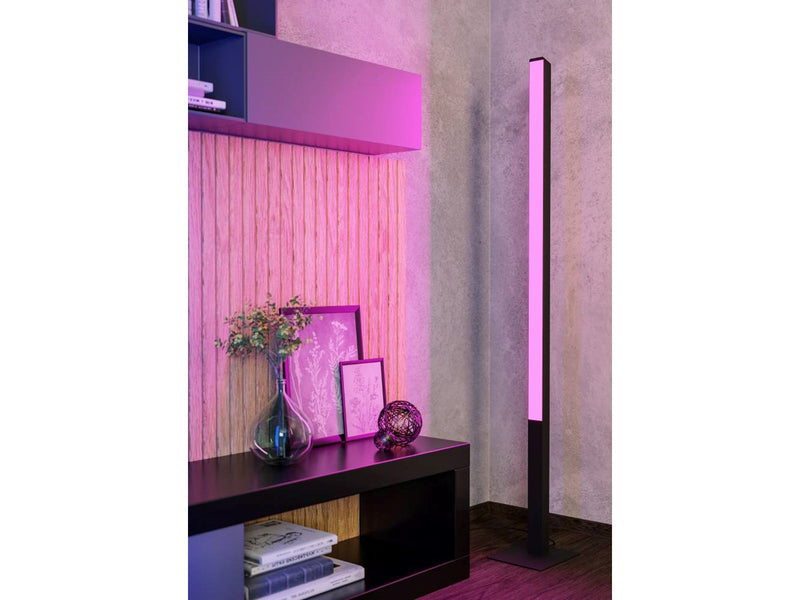 EGLO SIMOLARIS-Z floor lamp black