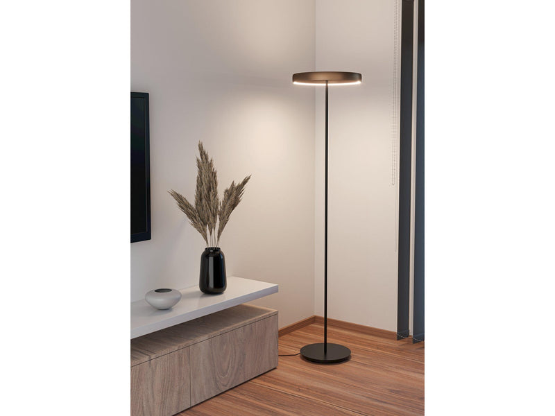EGLO Stars of Light TRABUCO floor lampe, black/brown