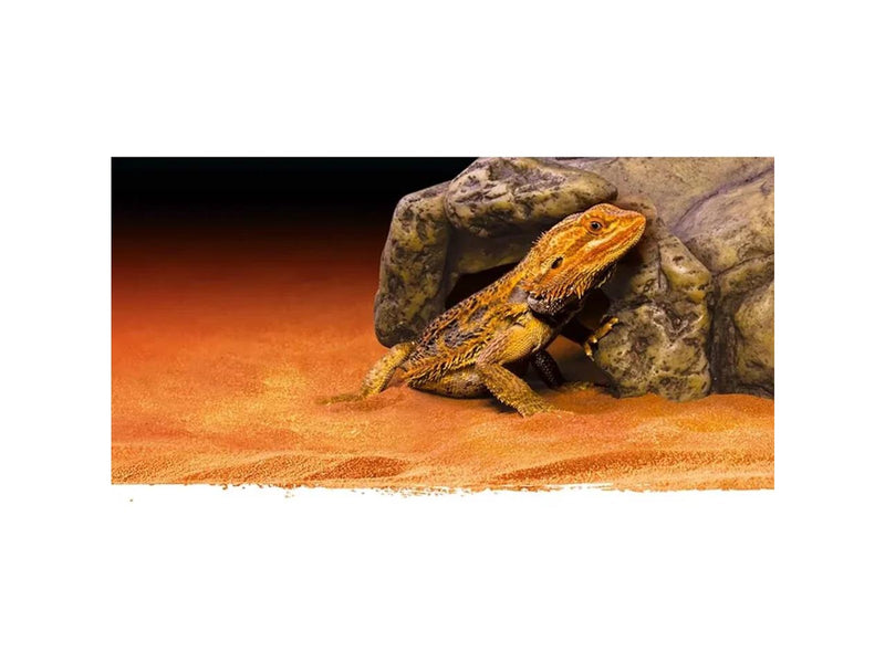 EXO TERRA - CAVE XL - 30x27.5x13CM