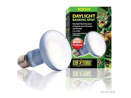 EXO TERRA - Daylight Basking Spot 100W R25 E27 Green - (220.2730)