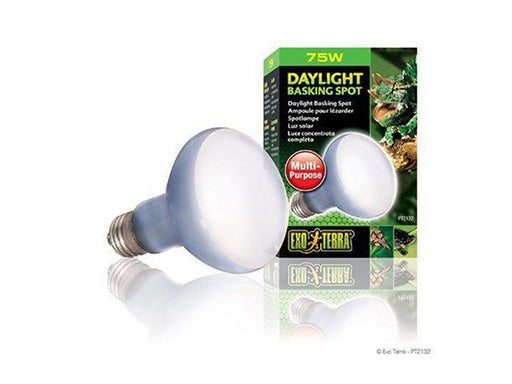 EXO TERRA - Daylight Basking Spot 75W R20 E27 Green - (220.2720)