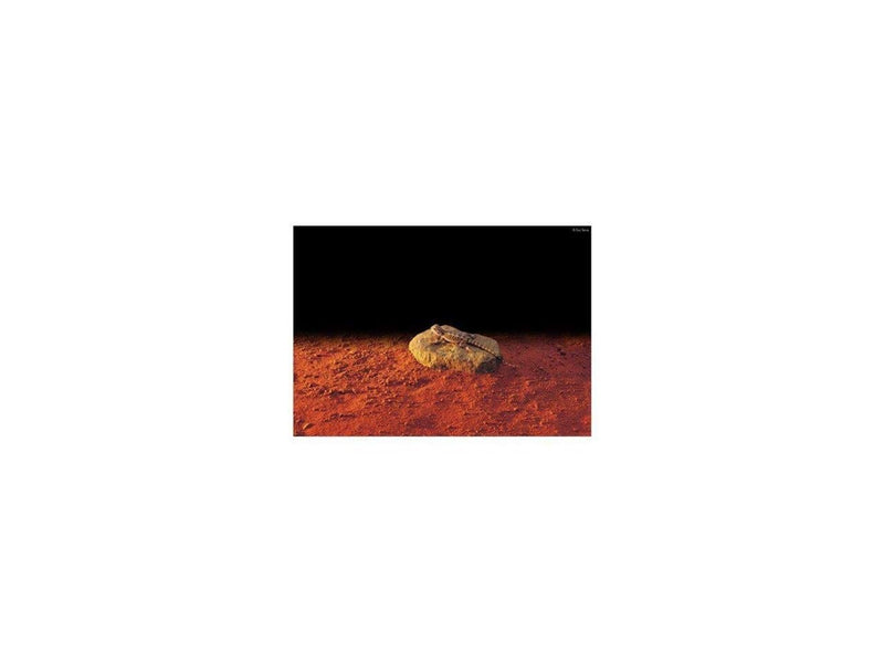 EXO TERRA - Heated Stone S 15.5X10Cm 5W - (225.2000)