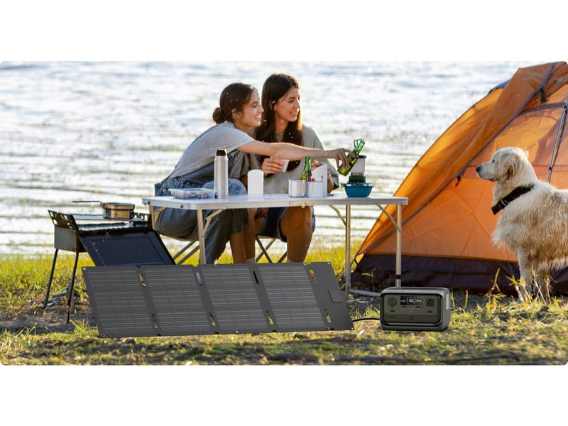 EcoFlow 60 W Portable Solar Panel - USB-C & XT60i