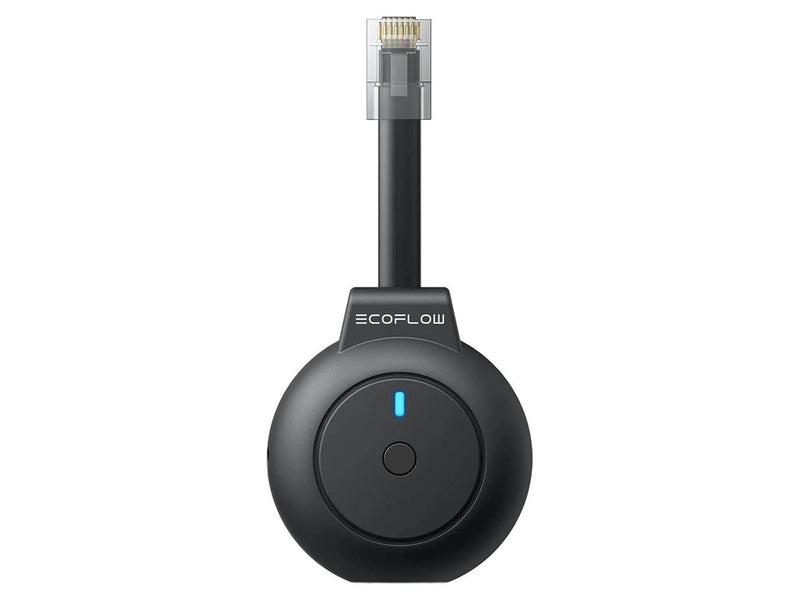 EcoFlow P1 Dongle Smart Meter