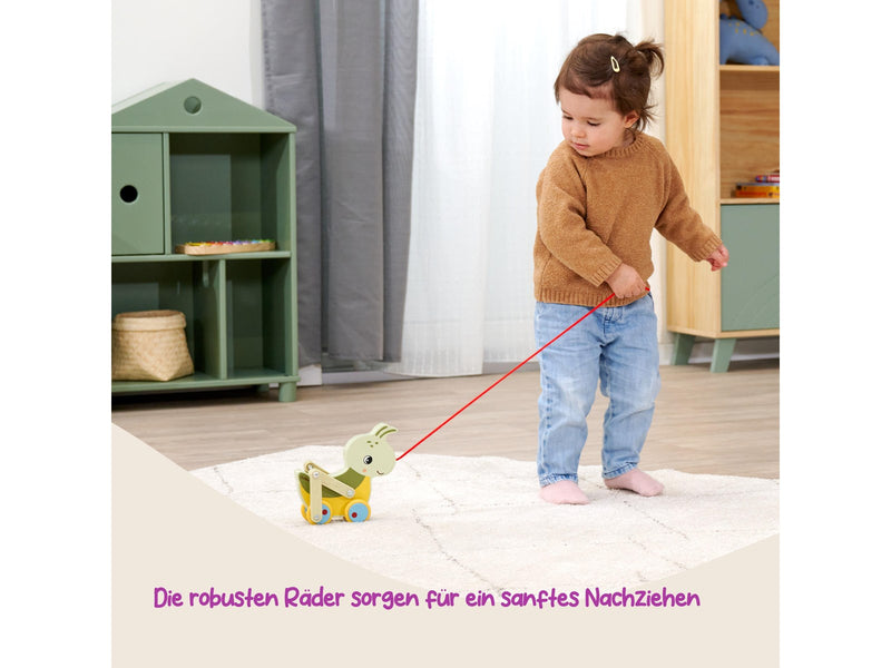Eichhorn  Pullback Grasshopper